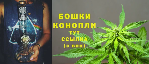 ГАЛЛЮЦИНОГЕННЫЕ ГРИБЫ Верхнеуральск